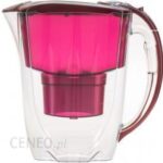 Aquaphor Amethyst 2,8 l + 3 wkłady B100-25 Maxfor wiśniowy