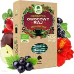 Dary Natury Herbatka Owocowy Raj Eko 25X2,5G