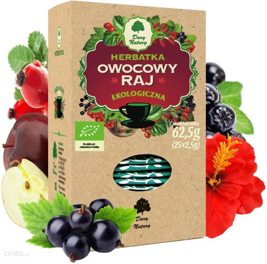 Dary Natury Herbatka Owocowy Raj Eko 25X2,5G
