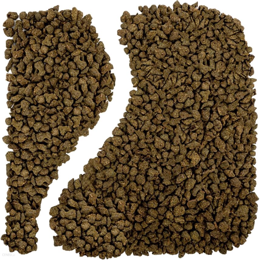 Ginseng żeń-szeń oolong turkusowy (Torebka 200g (-10%), Pakowanie standardowe)
