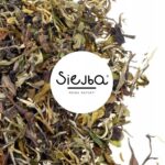 Herbata biała Pai Mu Tan 100G Siejba