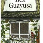 Ilex Guayusa 100g energia relaks pobudzenie 0,1 kg