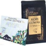 Progressive Kawa ziarnista Kopi Luwak Wild sumatra 50g