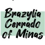 Świeżopalona Brazil Cerrado Patrocinio waga 1kg